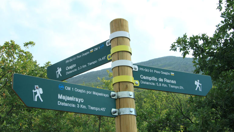 Un poste direccional en un robledal nos indica el camino hacia el pico Ocejón