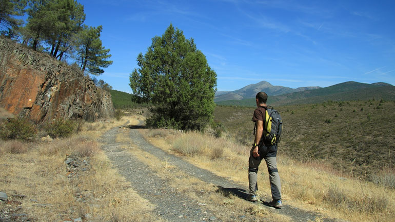 Un senderista avanza con la Sierra de Ocejón de fondo en dirección a los pinares que rodean el embalse de El Vado