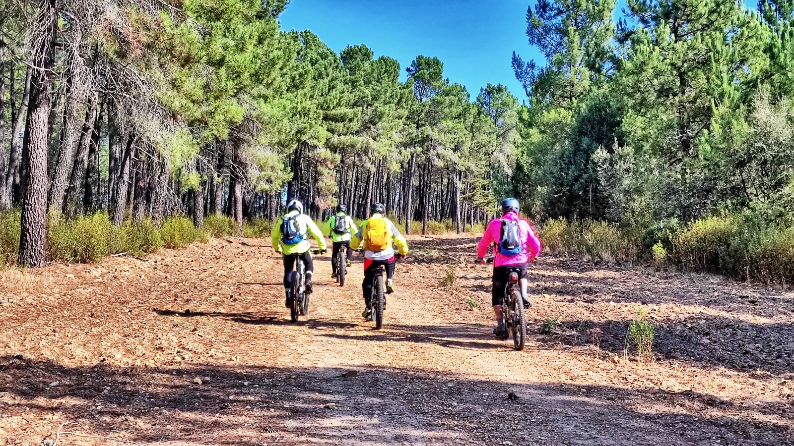 varios ciclistas de montaña discurren por una pista forestal rodeados de pinos en dirección al pantano de El Vado