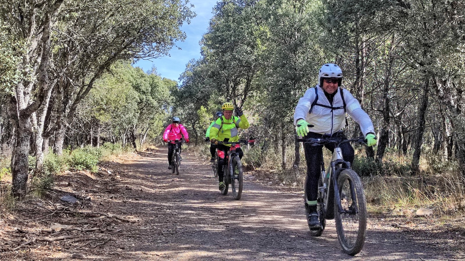 varios ciclistas circulan por una pista forestal por el Sabinar de Tamajón