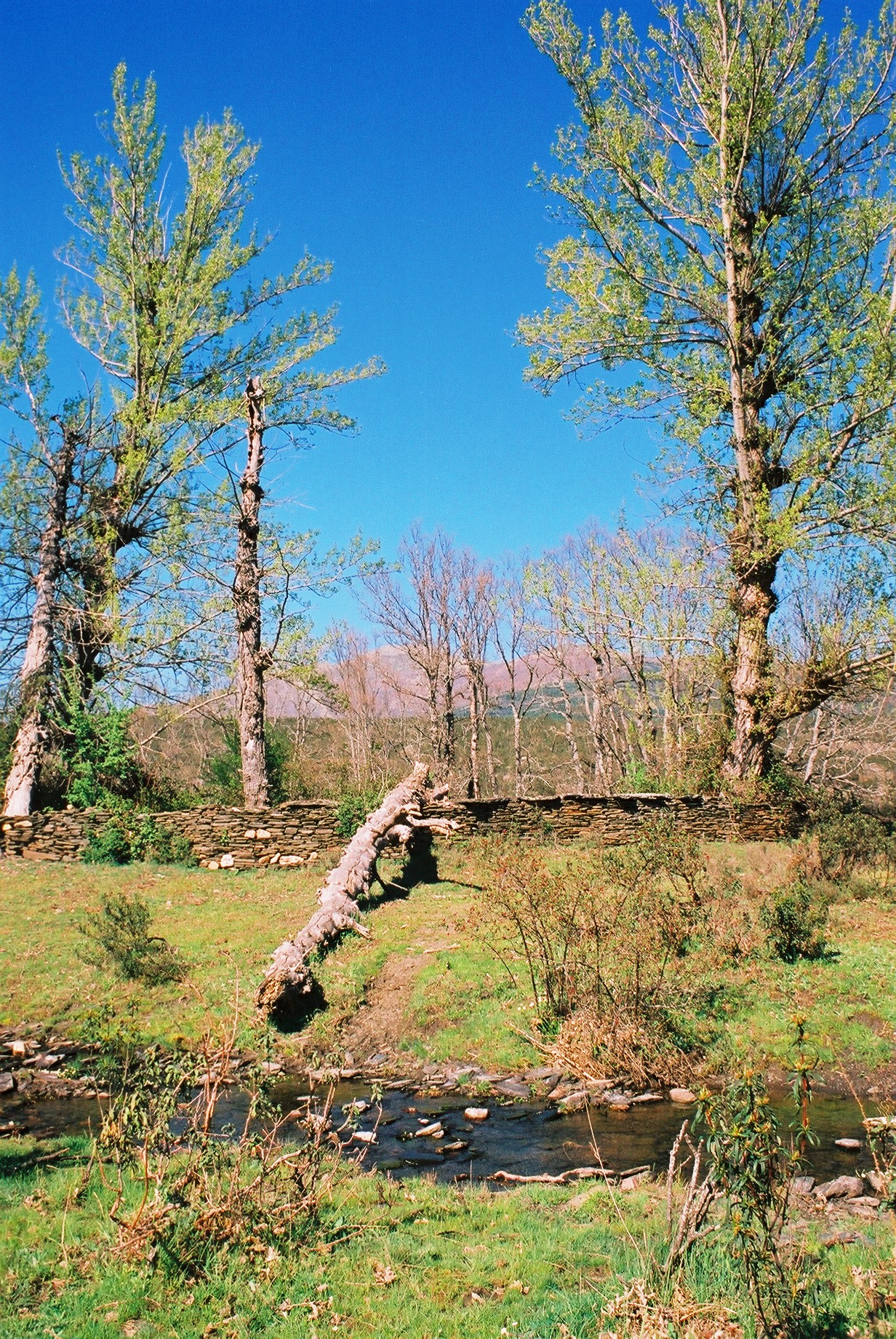 La salida de Campillo de Ranas recorre singulares rincones