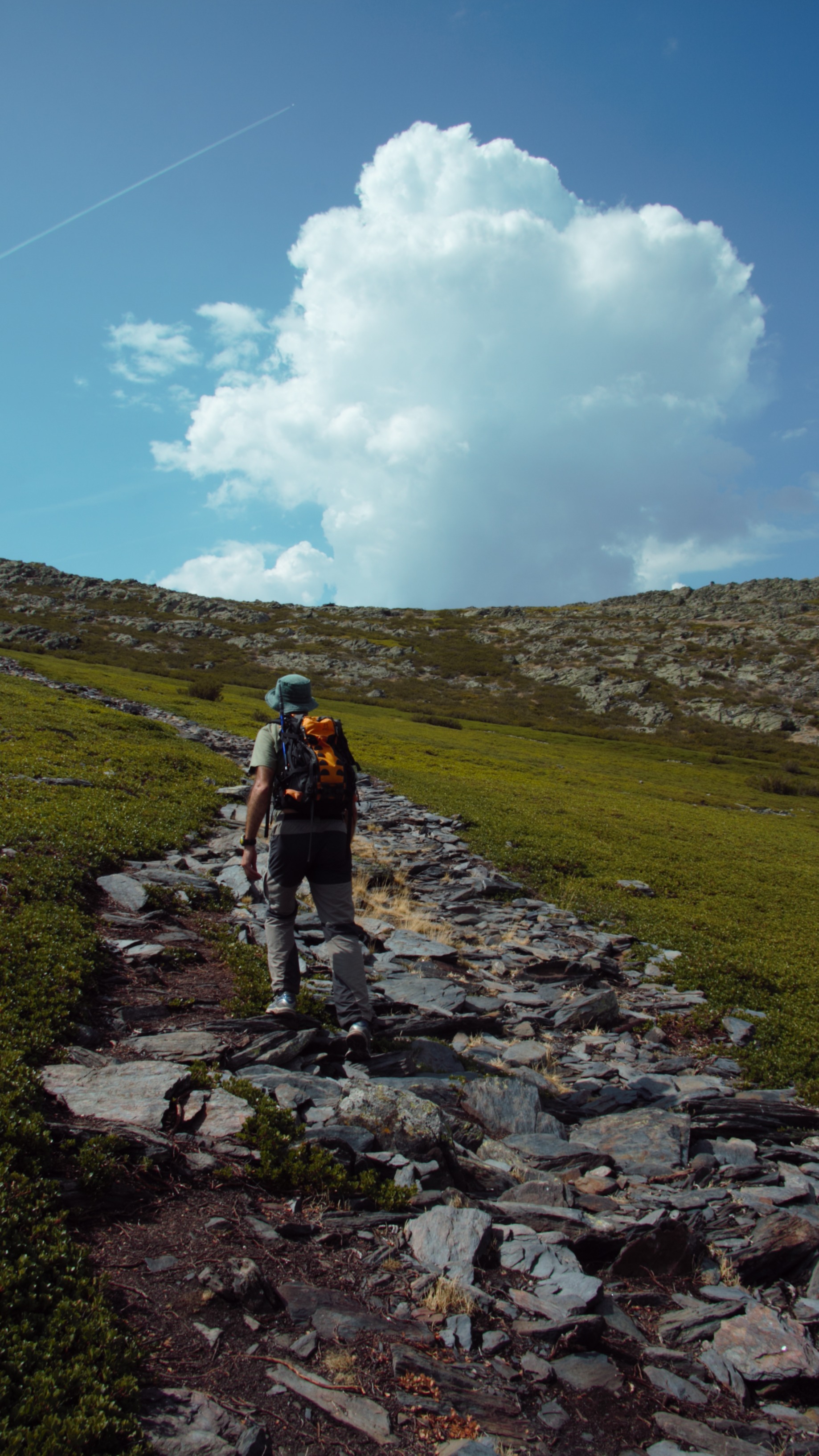 Un senderista por la cara este de Ocejón